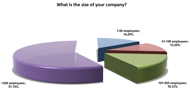 Company size of participants