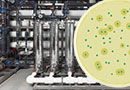 Rapid Microbial Methods for Pharmaceutical Water Systems - Live Online Training